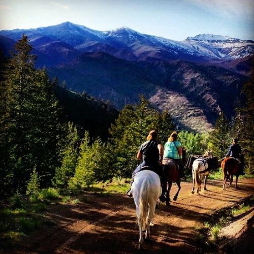 Yellowstone Horseback Riding Absaroka Mountain Lodge