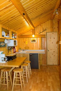 Cabins near Yellowstone