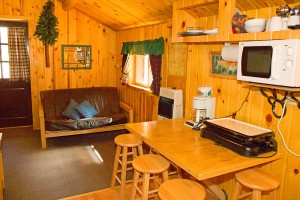 Cabins near Yellowstone